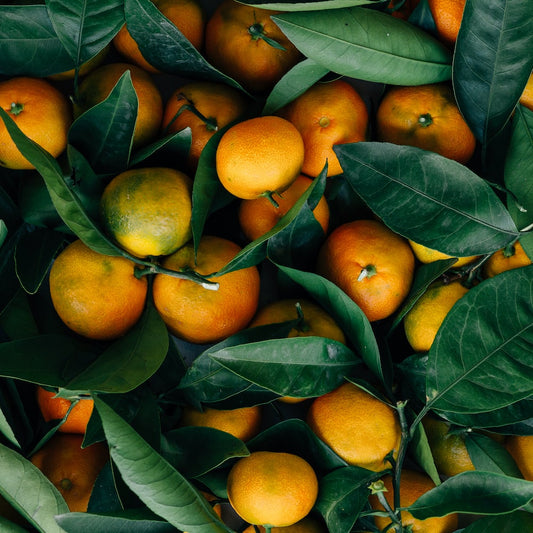 Découvrez les Bienfaits Révolutionnaires de l'Huile Essentielle de Mandarine pour une Peau Radieuse