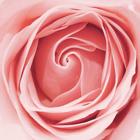Les Secrets de l'Huile Essentielle de Rose : Un Élixir Beauté Incontournable pour Votre Peau