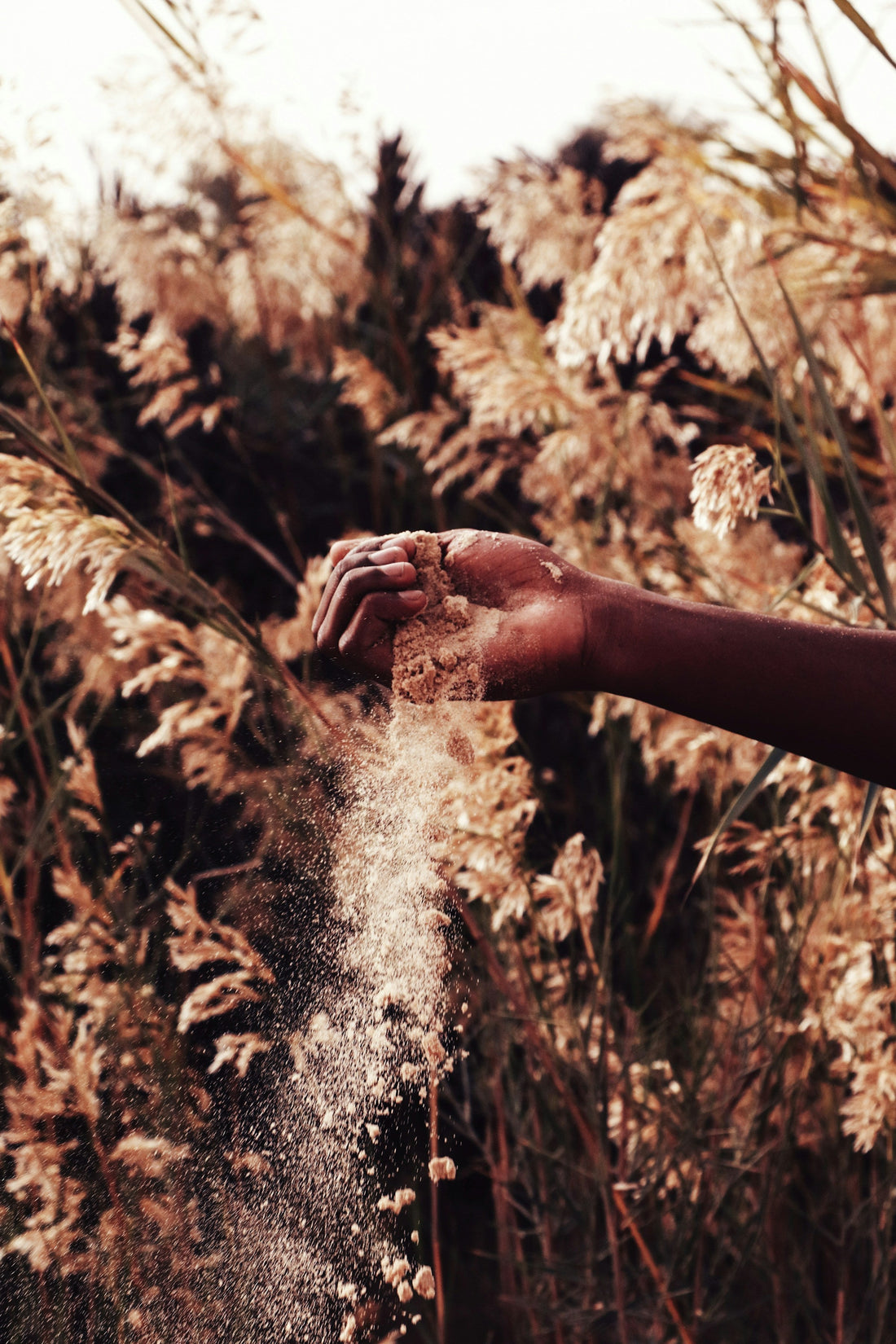 Champ de terre labourée au lever du jour — Earth Day intérieur, intersaison Terre PHYTO 5