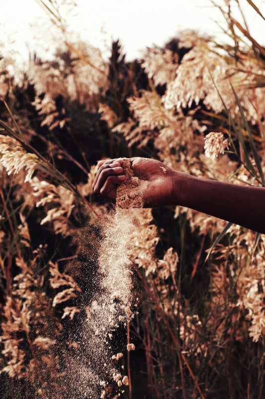 Champ de terre labourée au lever du jour — Earth Day intérieur, intersaison Terre PHYTO 5