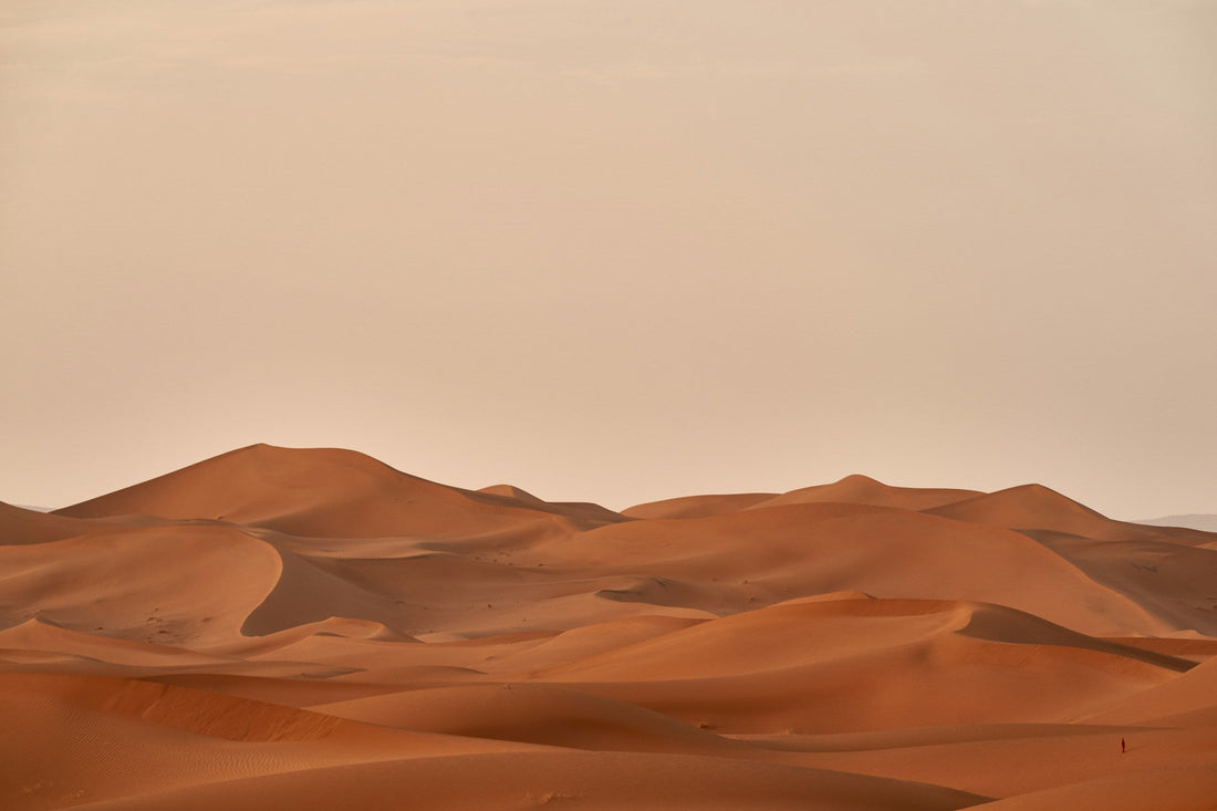 Paysage doré au crépuscule — saison Feu 2026, année du Cheval de Feu