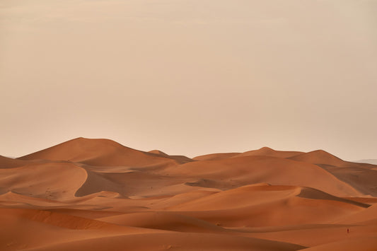Paysage doré au crépuscule — saison Feu 2026, année du Cheval de Feu